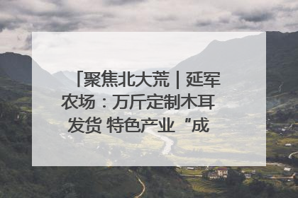 聚焦北大荒｜延军农场：万斤定制木耳发货 特色产业“成绩单”亮眼
